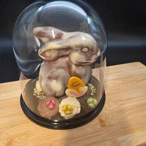 Afbeelding van Holfiguur Haas in stolp